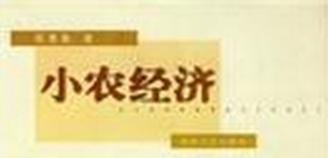 小農(nóng)經(jīng)濟(jì)意識(shí) 小農(nóng)經(jīng)濟(jì)意識(shí)